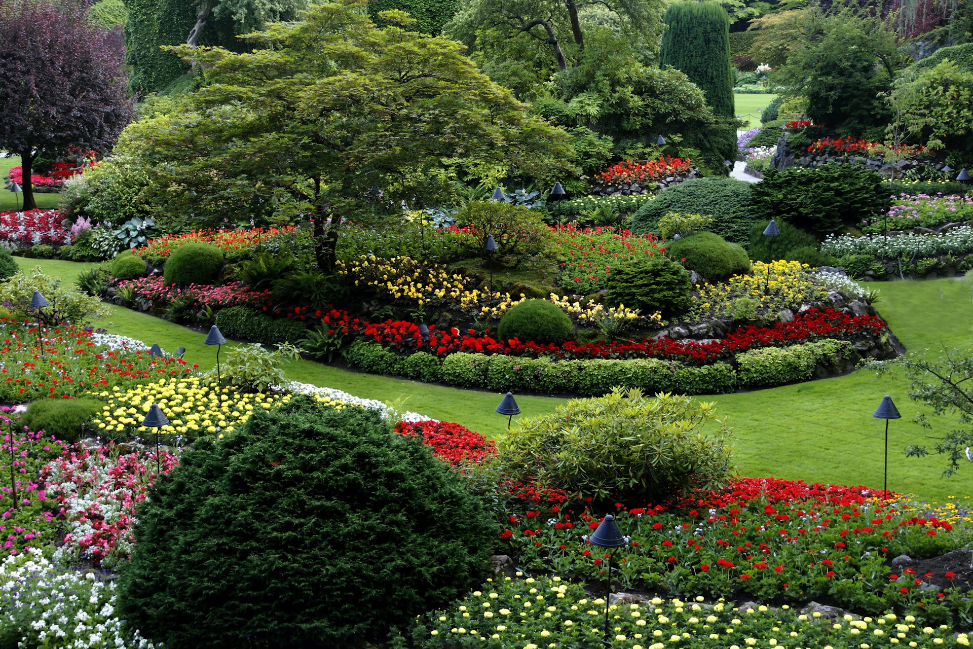 Blühende Stauden und gepflegter Garten als illustratives Projektbeispiel